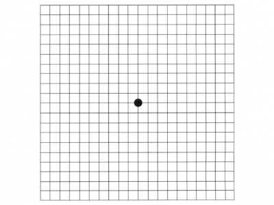 PDF with the Amsler Grid Test for early detection of macular degeneration