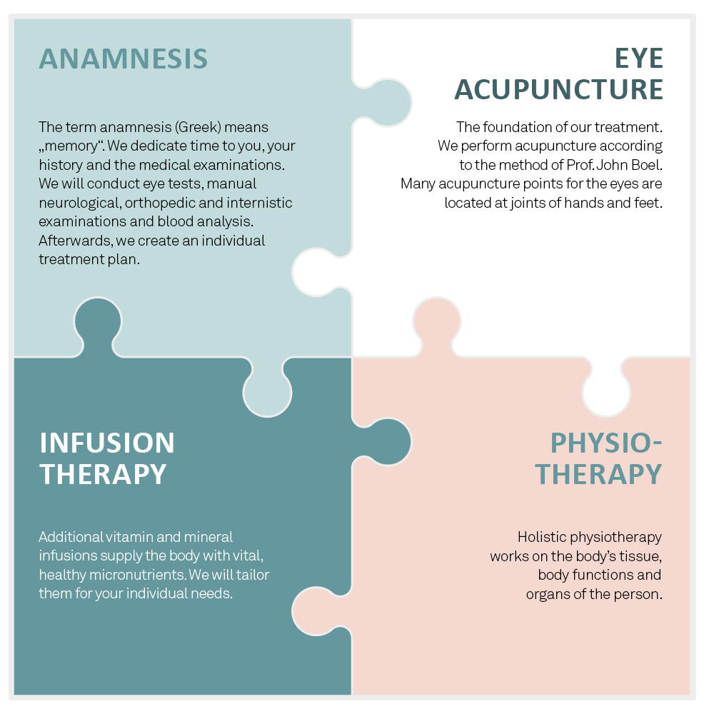The four Elements of Integrated Eye Therapy according to Noll